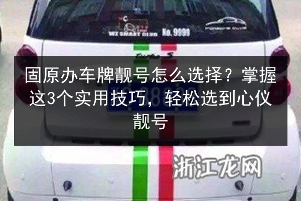 固原办车牌靓号怎么选择？掌握这3个实用技巧，轻松选到心仪靓号 第2张