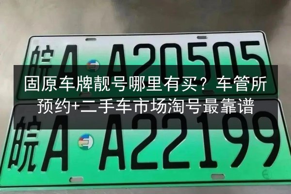 固原车牌靓号哪里有买?车管所预约+二手车市场淘号最靠谱 第3张 固原车牌靓号哪里有买?车管所预约+二手车市场淘号最靠谱 第3张