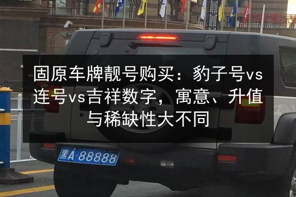 固原车牌靓号购买:豹子号vs连号vs吉祥数字,寓意、升值与稀缺性大不同 第3张 固原车牌靓号购买:豹子号vs连号vs吉祥数字,寓意、升值与稀缺性大不同 第3张