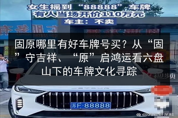 固原哪里有好车牌号买？从“固”守吉祥、“原”启鸿运看六盘山下的车牌文化寻踪