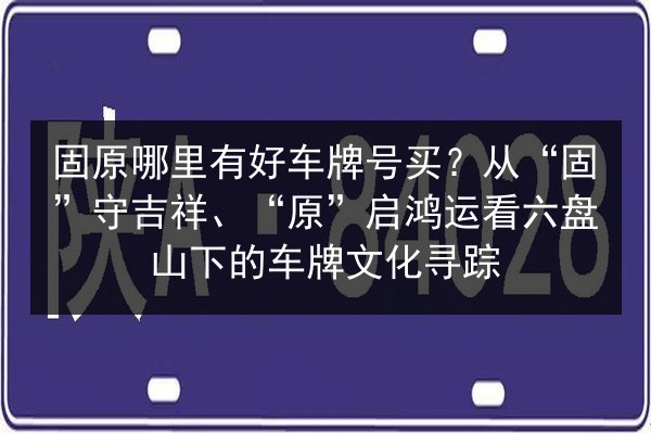 固原哪里有好车牌号买?从“固”守吉祥、“原”启鸿运看六盘山下的车牌文化寻踪 第2张 固原哪里有好车牌号买?从“固”守吉祥、“原”启鸿运看六盘山下的车牌文化寻踪 第2张