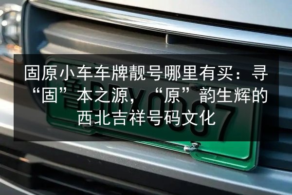 固原小车车牌靓号哪里有买：寻“固”本之源，“原”韵生辉的西北吉祥号码文化 第1张