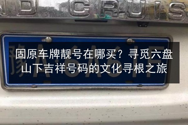 固原车牌靓号在哪买?寻觅六盘山下吉祥号码的文化寻根之旅 第2张 固原车牌靓号在哪买?寻觅六盘山下吉祥号码的文化寻根之旅 第2张