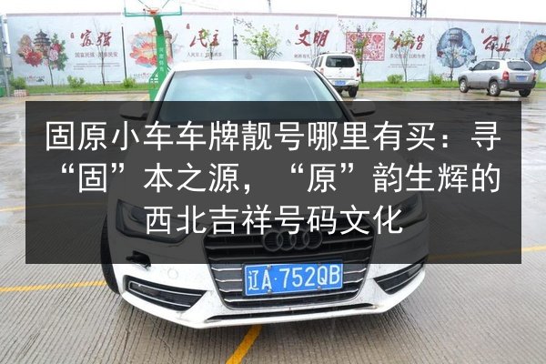 固原小车车牌靓号哪里有买：寻“固”本之源，“原”韵生辉的西北吉祥号码文化 第2张