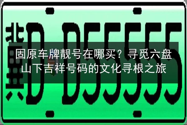 固原车牌靓号在哪买?寻觅六盘山下吉祥号码的文化寻根之旅 第3张 固原车牌靓号在哪买?寻觅六盘山下吉祥号码的文化寻根之旅 第3张