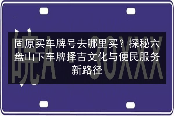 固原买车牌号去哪里买?探秘六盘山下车牌择吉文化与便民服务新路径 第2张 固原买车牌号去哪里买?探秘六盘山下车牌择吉文化与便民服务新路径 第2张