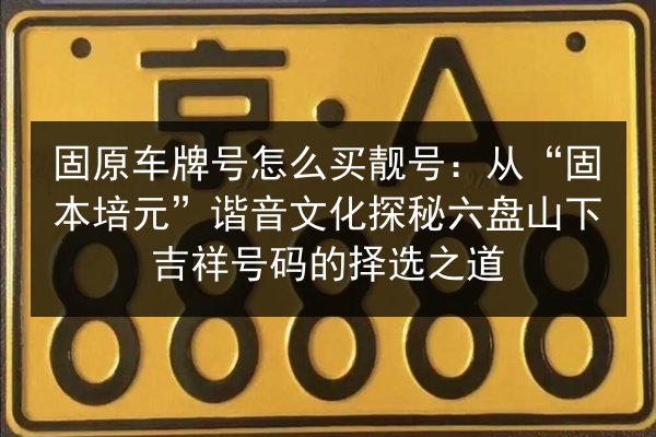 固原车牌号怎么买靓号:从“固本培元”谐音文化探秘六盘山下吉祥号码的择选之道 第2张 固原车牌号怎么买靓号:从“固本培元”谐音文化探秘六盘山下吉祥号码的择选之道 第2张
