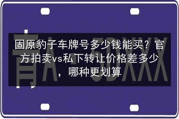 固原豹子车牌号多少钱能买?官方拍卖vs私下转让价格差多少,哪种更划算 第1张 固原豹子车牌号多少钱能买?官方拍卖vs私下转让价格差多少,哪种更划算 第1张
