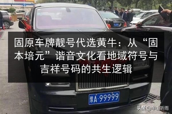 固原车牌靓号代选黄牛:从“固本培元”谐音文化看地域符号与吉祥号码的共生逻辑 第2张 固原车牌靓号代选黄牛:从“固本培元”谐音文化看地域符号与吉祥号码的共生逻辑 第2张