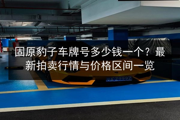 固原豹子车牌号多少钱一个?最新拍卖行情与价格区间一览 第2张 固原豹子车牌号多少钱一个?最新拍卖行情与价格区间一览 第2张