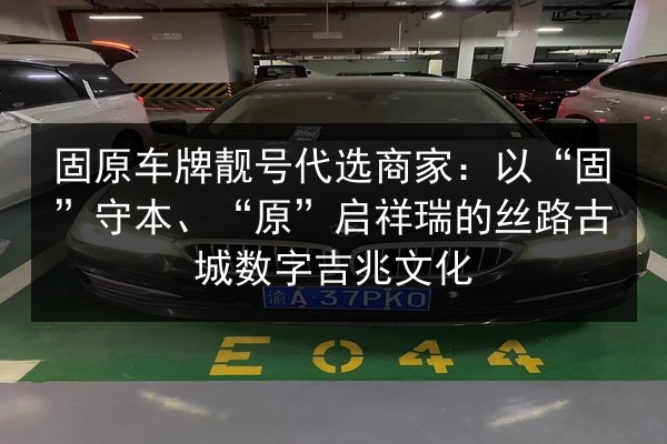固原车牌靓号代选商家:以“固”守本、“原”启祥瑞的丝路古城数字吉兆文化 第3张 固原车牌靓号代选商家:以“固”守本、“原”启祥瑞的丝路古城数字吉兆文化 第3张