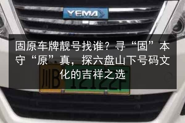 固原车牌靓号找谁?寻“固”本守“原”真,探六盘山下号码文化的吉祥之选 第3张 固原车牌靓号找谁?寻“固”本守“原”真,探六盘山下号码文化的吉祥之选 第3张