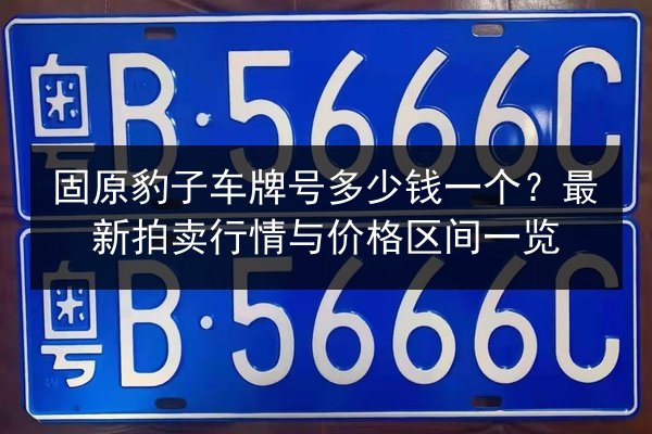 固原豹子车牌号多少钱一个?最新拍卖行情与价格区间一览 第3张 固原豹子车牌号多少钱一个?最新拍卖行情与价格区间一览 第3张