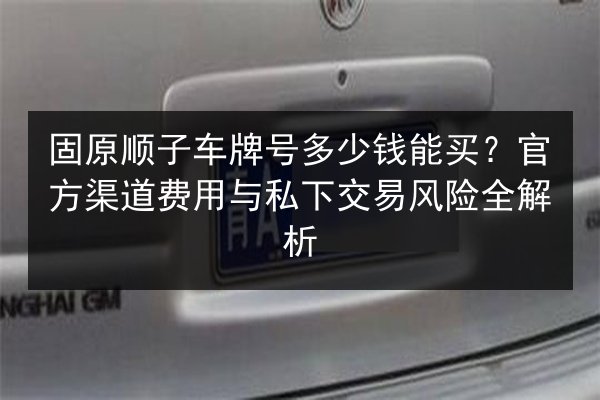 固原顺子车牌号多少钱能买?官方渠道费用与私下交易风险全解析 第2张 固原顺子车牌号多少钱能买?官方渠道费用与私下交易风险全解析 第2张