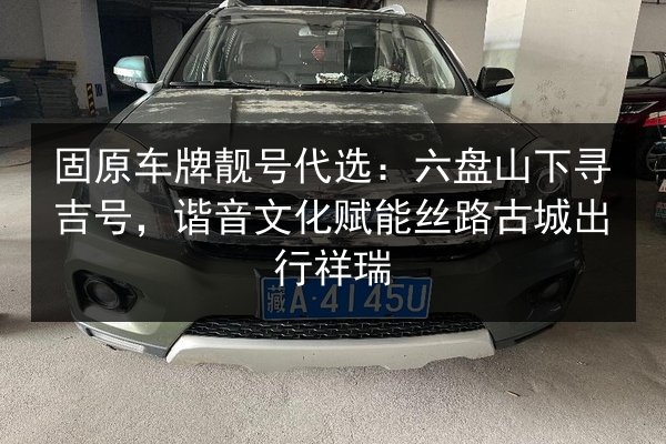 固原车牌靓号代选:六盘山下寻吉号,谐音文化赋能丝路古城出行祥瑞 第2张 固原车牌靓号代选:六盘山下寻吉号,谐音文化赋能丝路古城出行祥瑞 第2张