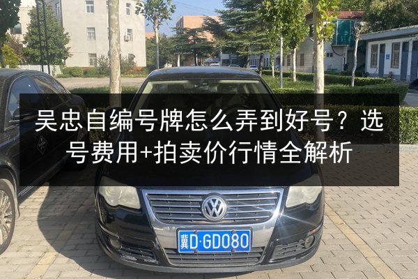 吴忠自编号牌怎么弄到好号？选号费用+拍卖价行情全解析 第1张