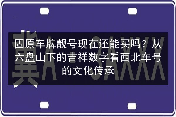 固原车牌靓号现在还能买吗?从六盘山下的吉祥数字看西北车号的文化传承 第3张 固原车牌靓号现在还能买吗?从六盘山下的吉祥数字看西北车号的文化传承 第3张