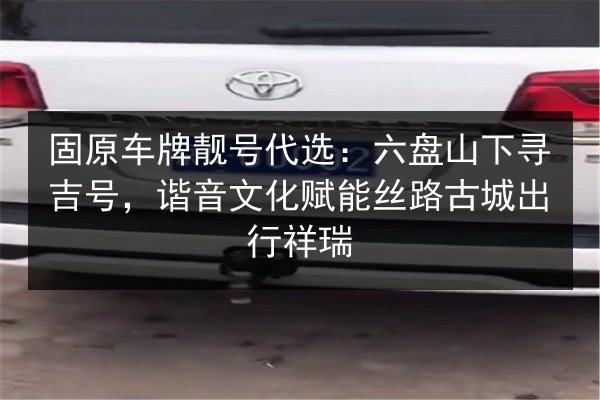 固原车牌靓号代选:六盘山下寻吉号,谐音文化赋能丝路古城出行祥瑞 第3张 固原车牌靓号代选:六盘山下寻吉号,谐音文化赋能丝路古城出行祥瑞 第3张