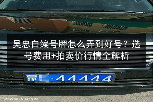 吴忠自编号牌怎么弄到好号？选号费用+拍卖价行情全解析 第2张