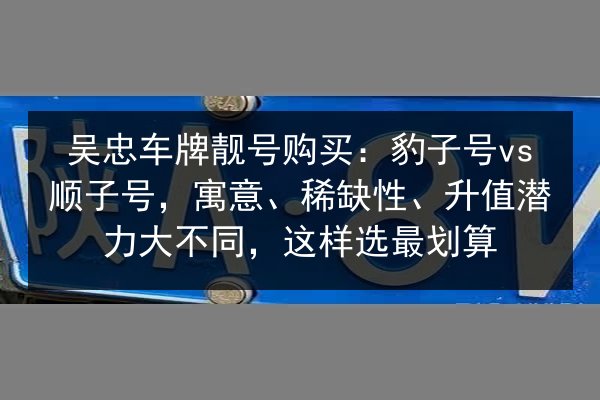 吴忠车牌靓号购买:豹子号vs顺子号,寓意、稀缺性、升值潜力大不同,这样选最划算 第2张 吴忠车牌靓号购买:豹子号vs顺子号,寓意、稀缺性、升值潜力大不同,这样选最划算 第2张