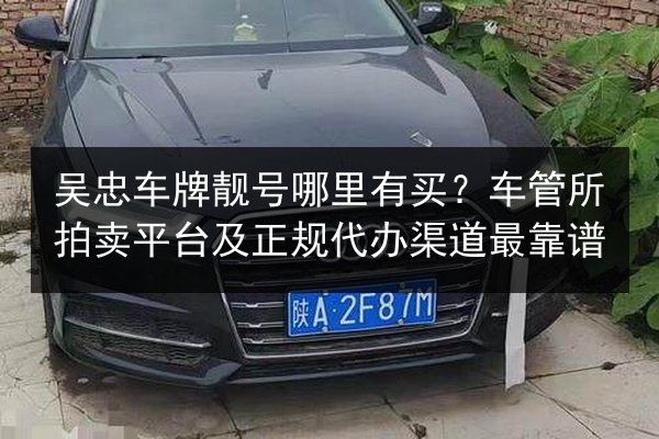 吴忠车牌靓号哪里有买?车管所拍卖平台及正规代办渠道最靠谱 第2张 吴忠车牌靓号哪里有买?车管所拍卖平台及正规代办渠道最靠谱 第2张