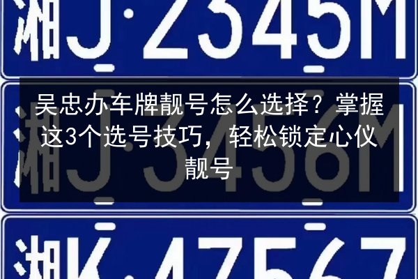 吴忠办车牌靓号怎么选择?掌握这3个选号技巧,轻松锁定心仪靓号 第2张 吴忠办车牌靓号怎么选择?掌握这3个选号技巧,轻松锁定心仪靓号 第2张