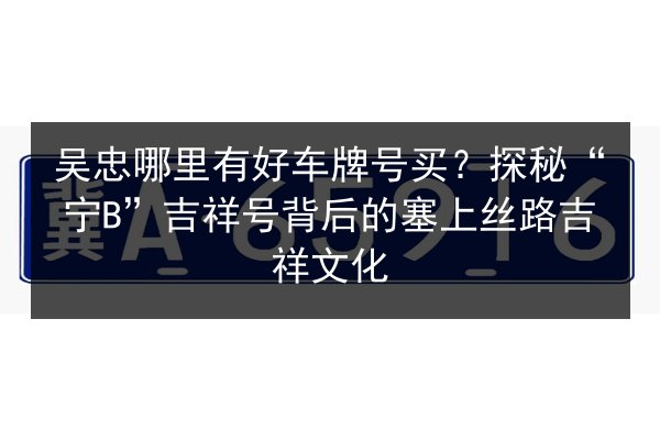 吴忠哪里有好车牌号买？探秘“宁B”吉祥号背后的塞上丝路吉祥文化