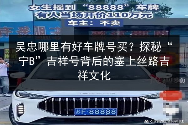 吴忠哪里有好车牌号买？探秘“宁B”吉祥号背后的塞上丝路吉祥文化 第2张