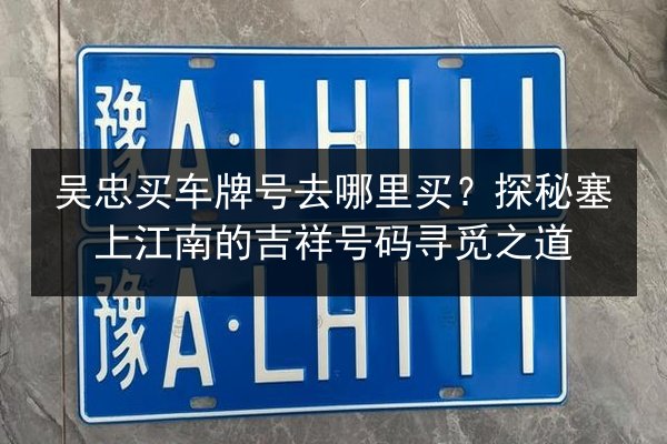 吴忠买车牌号去哪里买?探秘塞上江南的吉祥号码寻觅之道 第3张 吴忠买车牌号去哪里买?探秘塞上江南的吉祥号码寻觅之道 第3张