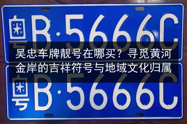 吴忠车牌靓号在哪买?寻觅黄河金岸的吉祥符号与地域文化归属 第3张 吴忠车牌靓号在哪买?寻觅黄河金岸的吉祥符号与地域文化归属 第3张