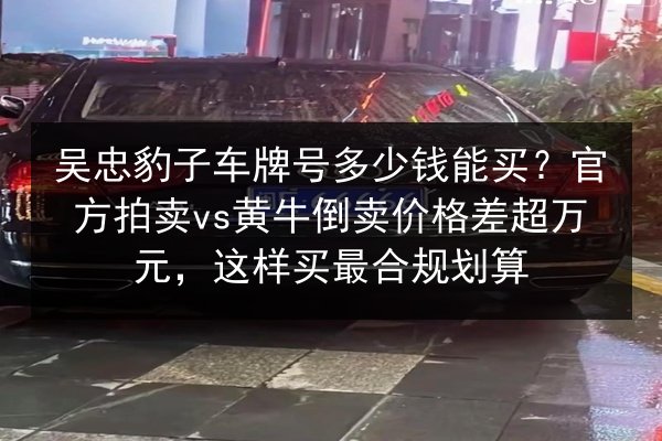 吴忠豹子车牌号多少钱能买?官方拍卖vs黄牛倒卖价格差超万元,这样买最合规划算 第2张 吴忠豹子车牌号多少钱能买?官方拍卖vs黄牛倒卖价格差超万元,这样买最合规划算 第2张