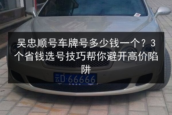 吴忠顺号车牌号多少钱一个?3个省钱选号技巧帮你避开高价陷阱 第1张 吴忠顺号车牌号多少钱一个?3个省钱选号技巧帮你避开高价陷阱 第1张