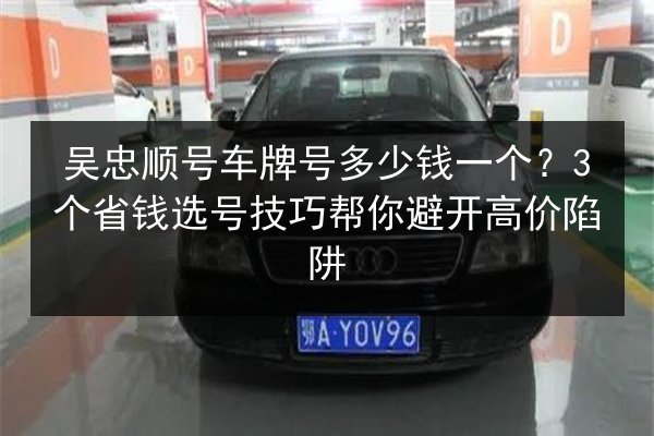 吴忠顺号车牌号多少钱一个?3个省钱选号技巧帮你避开高价陷阱 第2张 吴忠顺号车牌号多少钱一个?3个省钱选号技巧帮你避开高价陷阱 第2张