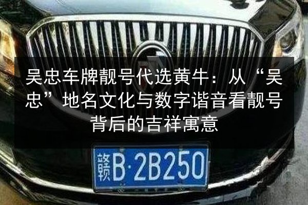 吴忠车牌靓号代选黄牛：从“吴忠”地名文化与数字谐音看靓号背后的吉祥寓意 第2张