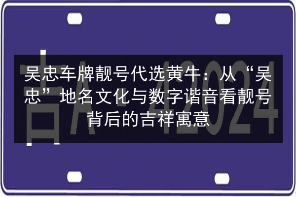 吴忠车牌靓号代选黄牛：从“吴忠”地名文化与数字谐音看靓号背后的吉祥寓意 第3张