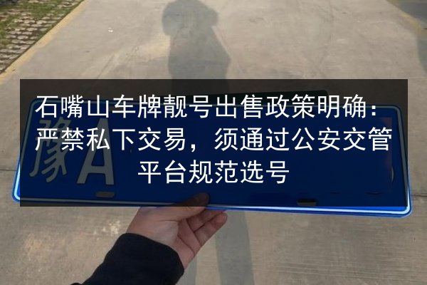 石嘴山车牌靓号出售政策明确：严禁私下交易，须通过公安交管平台规范选号 第3张