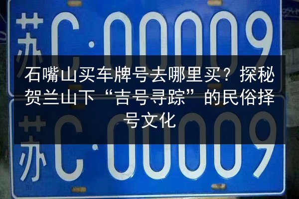 石嘴山买车牌号去哪里买？探秘贺兰山下“吉号寻踪”的民俗择号文化 第2张