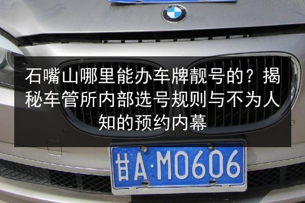 石嘴山哪里能办车牌靓号的？揭秘车管所内部选号规则与不为人知的预约内幕 第3张