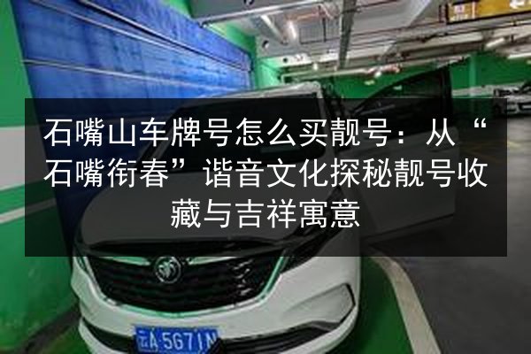 石嘴山车牌号怎么买靓号：从“石嘴衔春”谐音文化探秘靓号收藏与吉祥寓意 第2张