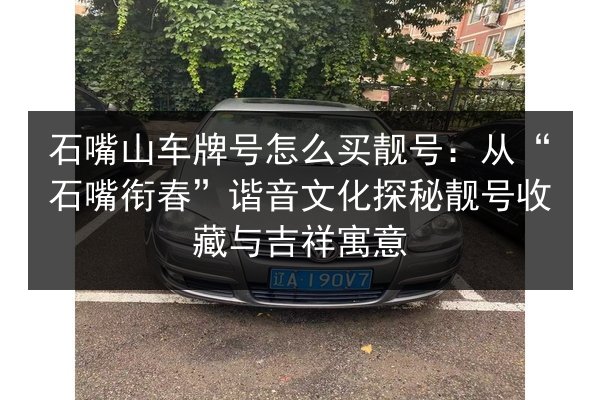 石嘴山车牌号怎么买靓号：从“石嘴衔春”谐音文化探秘靓号收藏与吉祥寓意 第3张