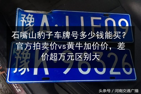 石嘴山豹子车牌号多少钱能买？官方拍卖价vs黄牛加价价，差价超万元区别大 第2张