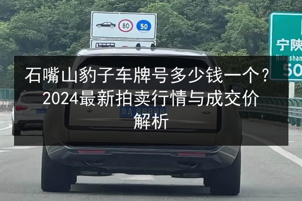 石嘴山豹子车牌号多少钱一个？2024最新拍卖行情与成交价解析 第2张
