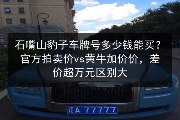 石嘴山豹子车牌号多少钱能买？官方拍卖价vs黄牛加价价，差价超万元区别大 第3张
