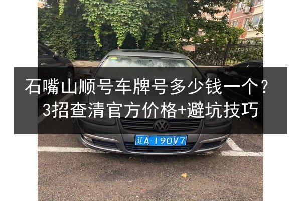石嘴山顺号车牌号多少钱一个？3招查清官方价格+避坑技巧 第2张