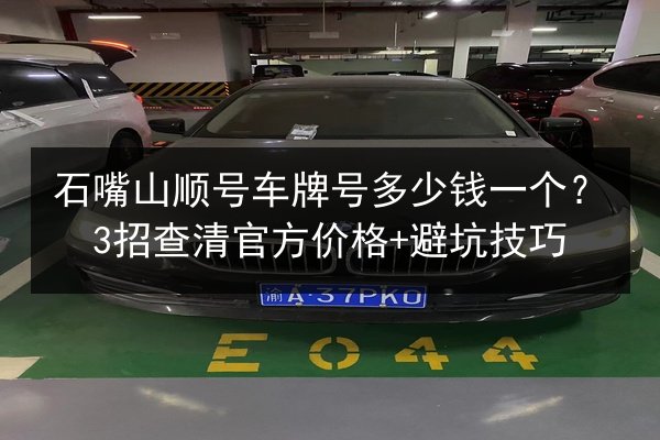 石嘴山顺号车牌号多少钱一个？3招查清官方价格+避坑技巧 第3张