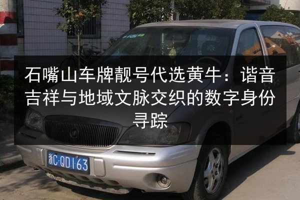 石嘴山车牌靓号代选黄牛:谐音吉祥与地域文脉交织的数字身份寻踪 第3张 石嘴山车牌靓号代选黄牛:谐音吉祥与地域文脉交织的数字身份寻踪 第3张