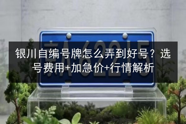 银川自编号牌怎么弄到好号？选号费用+加急价+行情解析 第3张