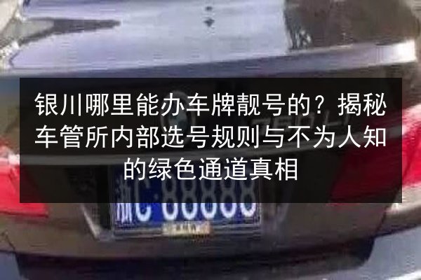 银川哪里能办车牌靓号的?揭秘车管所内部选号规则与不为人知的绿色通道真相 第2张 银川哪里能办车牌靓号的?揭秘车管所内部选号规则与不为人知的绿色通道真相 第2张
