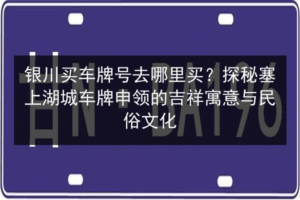 银川买车牌号去哪里买？探秘塞上湖城车牌申领的吉祥寓意与民俗文化 第2张