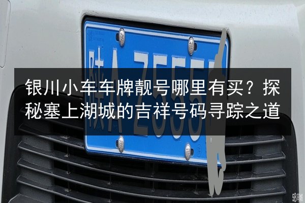 银川小车车牌靓号哪里有买?探秘塞上湖城的吉祥号码寻踪之道 第2张 银川小车车牌靓号哪里有买?探秘塞上湖城的吉祥号码寻踪之道 第2张